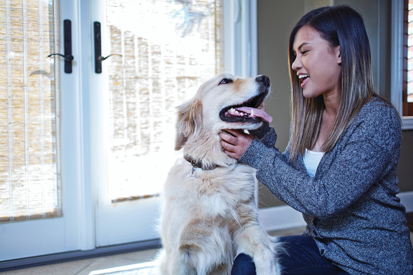 Petco ear drops outlet for dogs